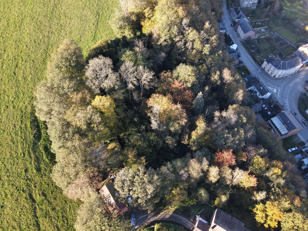 Gites Douillets A L'Oree Des Bois. Houyet Zewnętrze zdjęcie