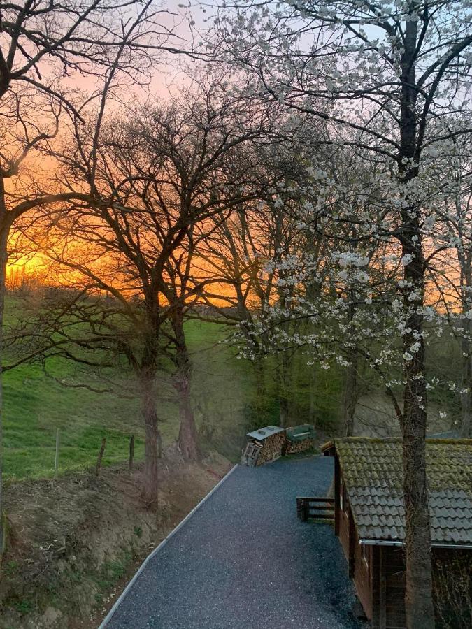 Gites Douillets A L'Oree Des Bois. Houyet Zewnętrze zdjęcie
